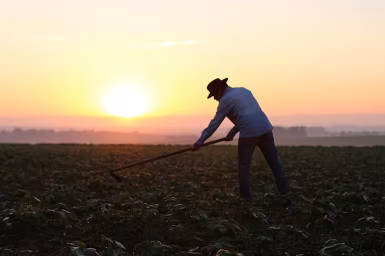 Migrant Worker Rights in Utah